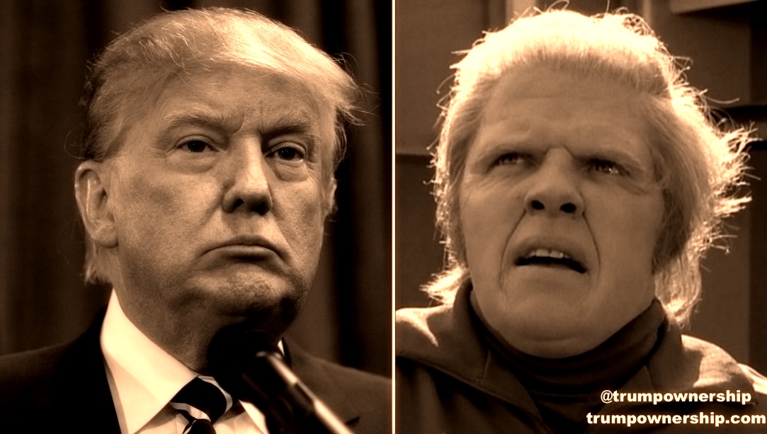 Trump Ownership Biff Tannen Back To The Future 6