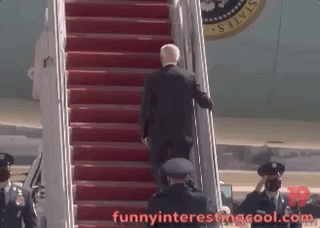 President Joe Biden Falling Stairs Air Force One