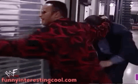 Wwf The Rock Vince Mcmahon Pan Head Fight