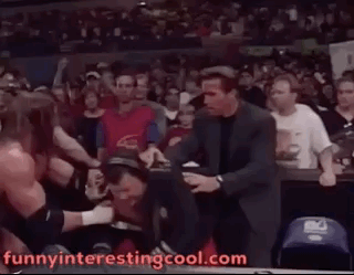 Wwf Triple H Arnold Schwarzenegger Slap